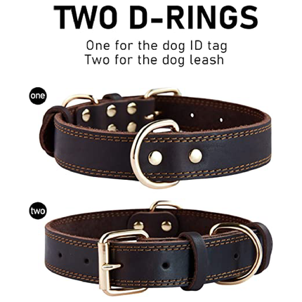 طوق كلب 47 سم