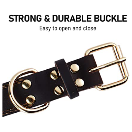 طوق كلب 47 سم