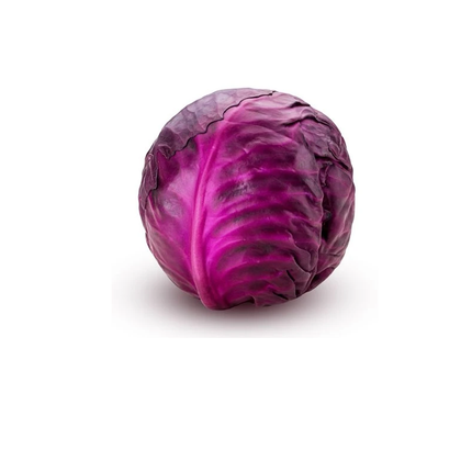 بذور ملفوف سافوي الأرجواني