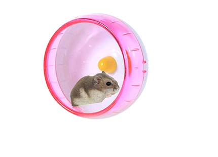 Hamster Wheel عجل هامستر - Mega Hardware