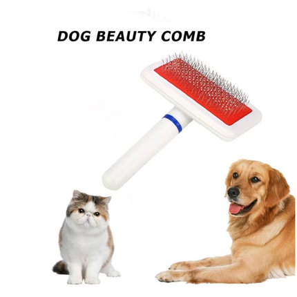 مشط كلب ابيض