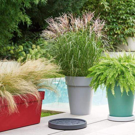 EDA Planters, Pots, & Outdoor Storage Roller Saucer 35 cm صحن قوار 35 سم