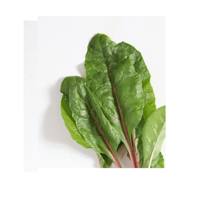 Garden Center Seeds Swiss Chard Seeds