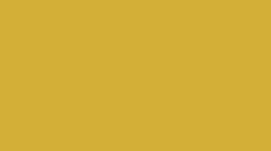 scib Paint Yellow Universal colorants🎨Multiple colors
